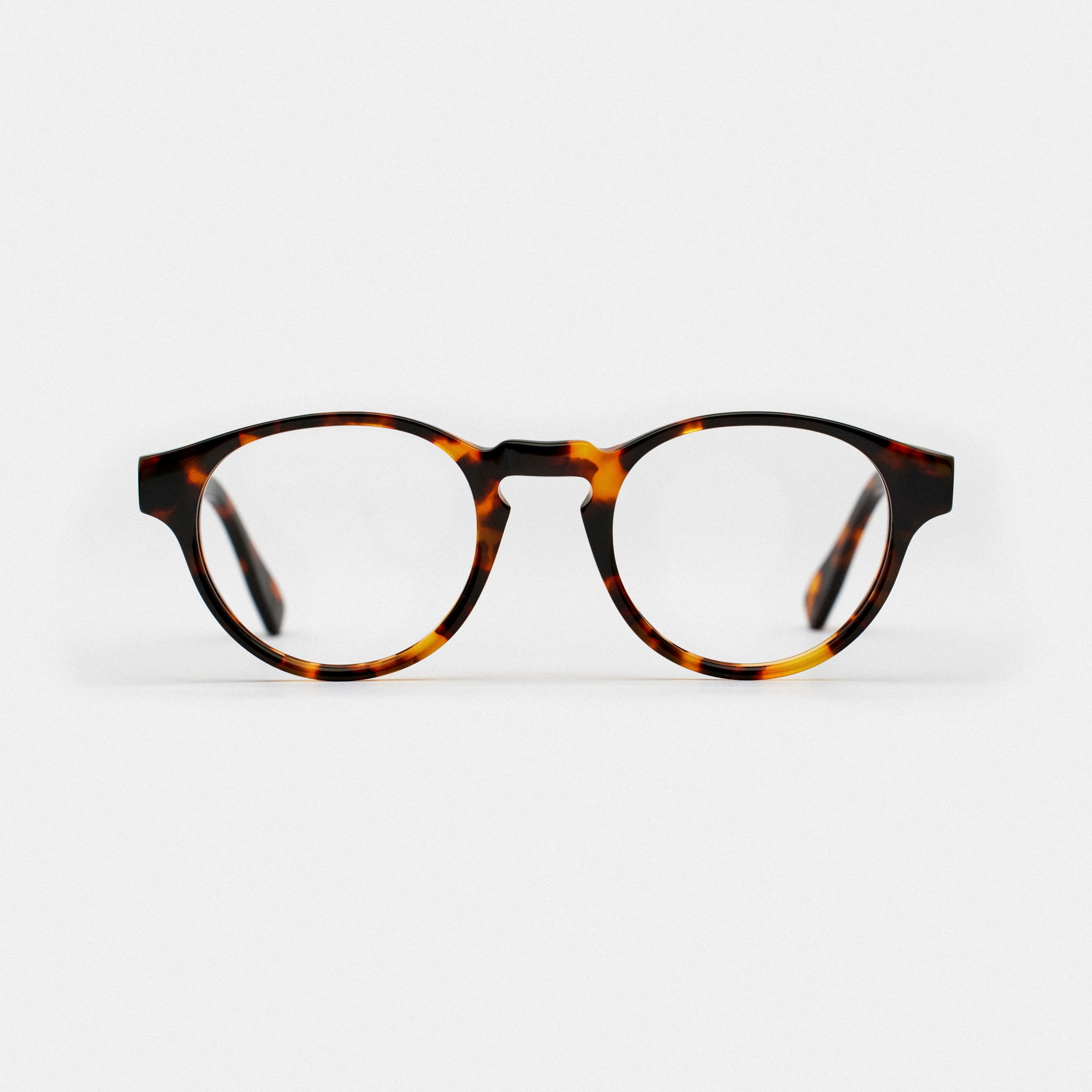 Estrela Tortoise