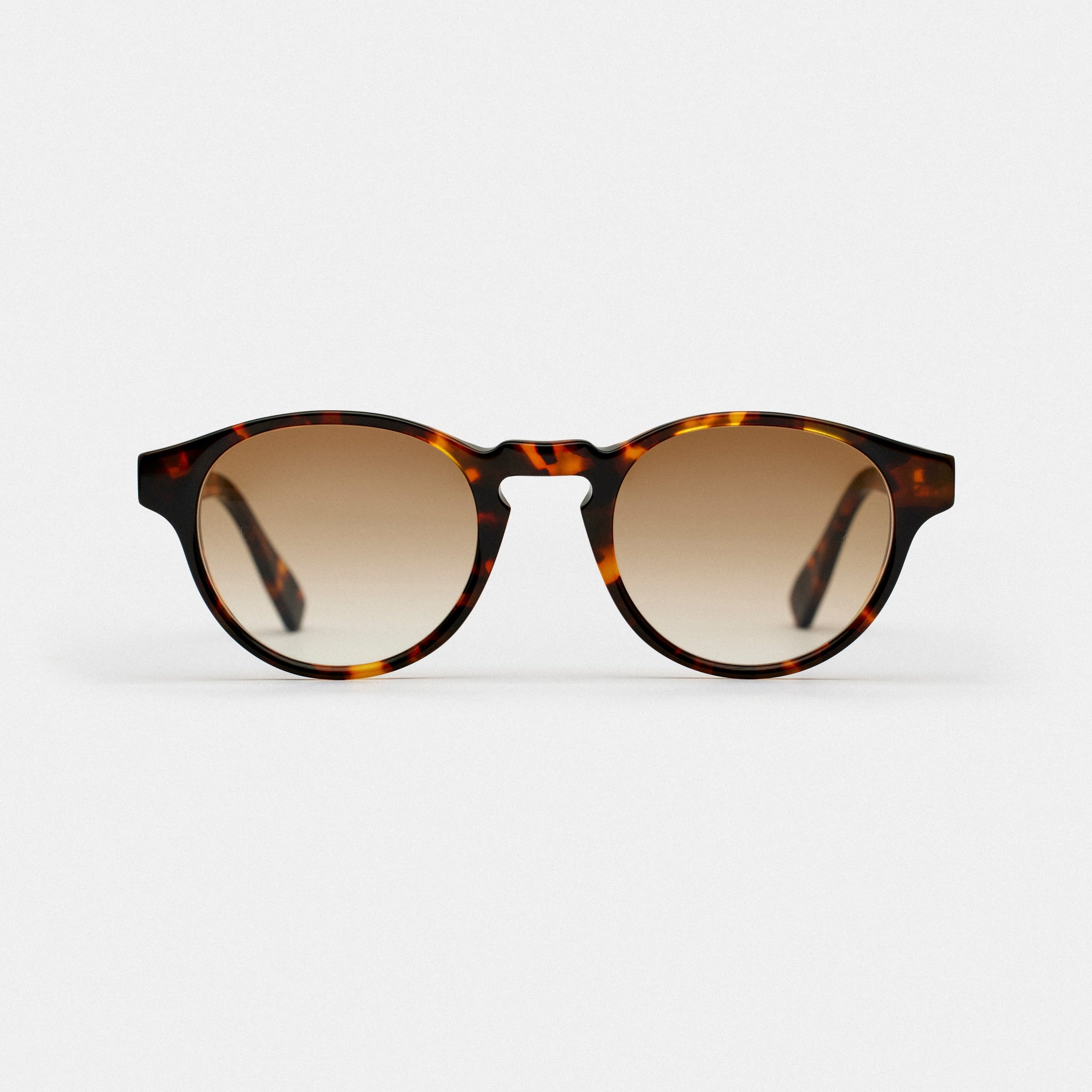Estrela Tortoise Sun